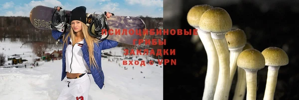 не бодяженный Лабытнанги