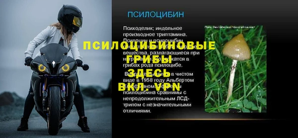 не бодяженный Лабытнанги