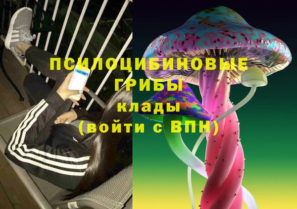 не бодяженный Лабытнанги