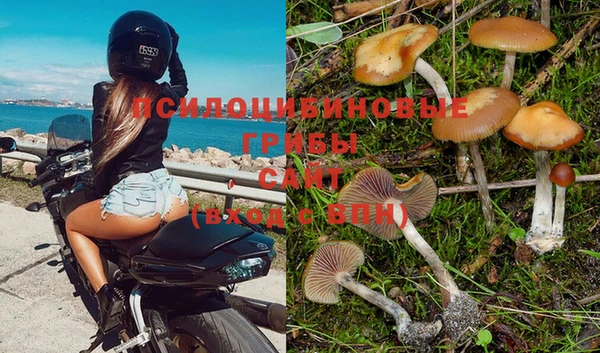 бошки Лагань