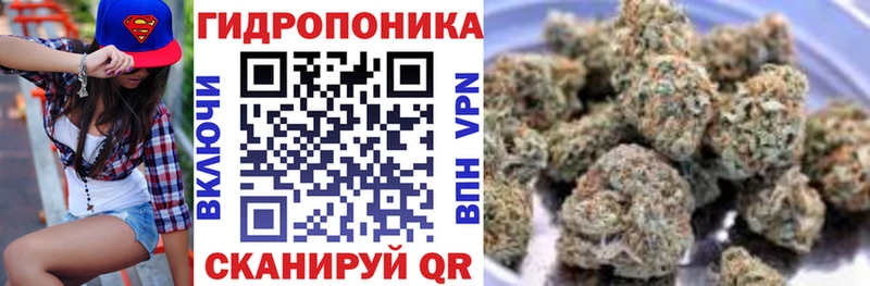 Конопля OG Kush  купить  сайты  Елизаветинская 